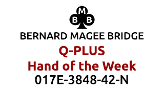 Bmb q plus 320x180 017e u