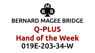 Bmb q plus 320x180 019e u