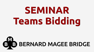 Bmb 320x180 seminar 048 teams bidding grey