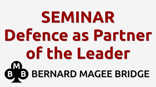 Bmb 320x180 seminar 049 defence as partner of the leader grey