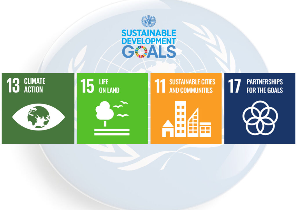 Woodland fund media pack images 2024 45