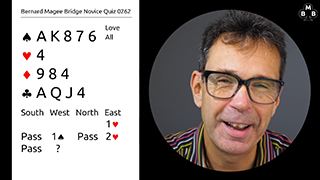 298a novice bidding quiz still s